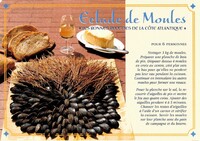 Eclade de Moules