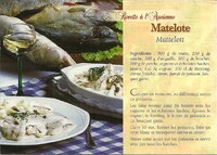Matelote