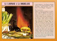 La Lamproie à la Bordelaise