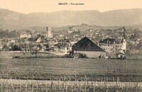 Belley - vue Générale