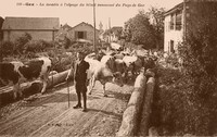 La Montée à L'Alpage du Bétail renommé du Pays de Gex