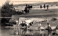 Charmine et Plaine de Samognat
