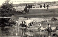 Charmine et plaine de Samognat