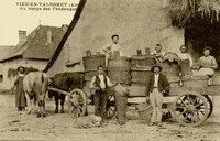 Au Temps des Vendanges