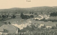 Virignin 