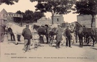 Marché Franc_écurie Alfred Dumatin -Marchand de Cheveaux