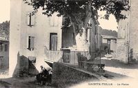 Sainte-Tulle - La Plaine