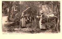 Loueuses D'Anes