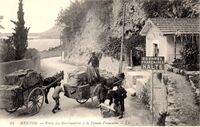 Visite des Marchandises à la Douane
