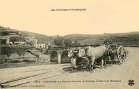 Rieutord  - Usclades-et-Rieutord - Un Attelage de Bœuf en Montagne