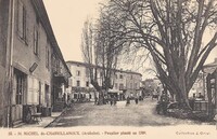 Peuplier Planté en 1789