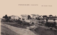 Avenue des Pins