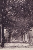 Allée des Dames