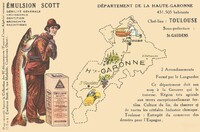 31 Haute-Garonne