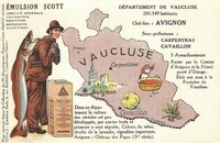 84 Vaucluse