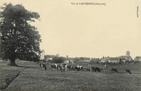 Lanuéjouls - Panorama