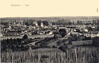 Molsheim - vue Générale