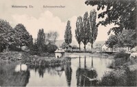 Etang aux Cygnes