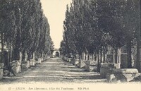 Les Alyscamps Allée des tombeaux