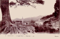 Gémenos - Le Sapin Géant -Panorama