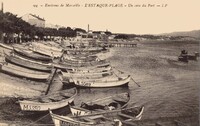 Un coin du Port
