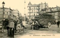 Marseille - Attelage Provençal