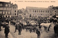 Place de la République, le Marché aux Chevaux
