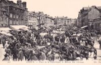 Place de la République - Le Marché aux Chevaux