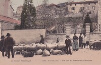 Un Coin du Marché aux Moutons