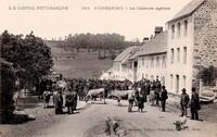 Le Concours Agricole