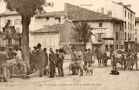 Place de la Halle et Marché Aux Veaux