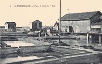 Parcs à Huîtres
