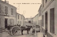 Sainte-Marie-de-Ré - La Rue de la Mairie