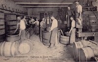 Vinification des Grands Vins