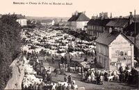 Champ de Foire ou Marché au Bétail