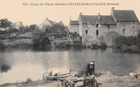 Etang du Vieux Château - Lavandière