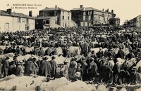 Le Marché aux Bestiaux