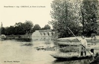 La Sèvre à la Branle - Lavandière