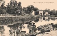 La Sèvre à Prépelot