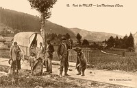 Les Montreurs d'Ours
