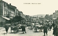 Romans-sur-Isère - Marché au Bœufs 