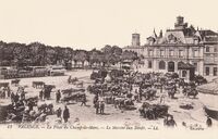 La Place du Champ-de-Mars- Le Marché au bœufs