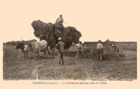 La Rentré des Récoltes dans la Plaine