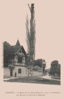 L'Arbre de la Liberté Planté en 1793 