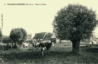 Villiers-le-Morhier - Dans la Prairie