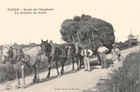 Route de L'Hôpitau- La Rentrée d Grain