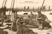 Douarnenez - Les Quais du Grand Port 