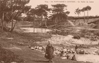 La Vallée du Suller