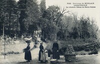 Le Chemin Creux de Saint-Julien - Lavandières