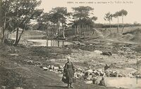 La Vallée du Suller- Lavandières